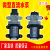 直流自吸水泵12v24v电动抽水高压迷你小型增压泵微型隔膜泵