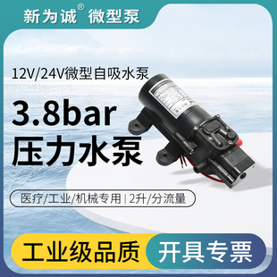 新为诚12V微型泵水采样水泵 24伏电机抽水泵自吸泵循环泵ASP3820