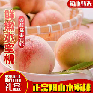 现摘正宗无锡阳山水蜜桃，新鲜水果毛桃8只装当季孕妇整箱送礼