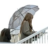 韩系自动长柄雨伞ins风双人结实抗风晴雨伞两用女折叠弯钩透明伞
