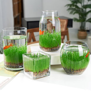 9.8元2个diy创意鱼缸生态瓶玻璃，插花瓶水培草种子四季微景观摆件