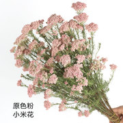 原色小米花干花网红少女粉干花高端diy永生花家居装饰摆设