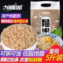 九鲤湖5斤东北糙米饭健身玄米糙米