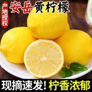 四川安岳黄柠檬(黄柠檬)新鲜水果，皮薄当季10整箱，选香水柠檬小金桔斤非无籽