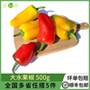 新鲜大水果椒500g彩椒甜椒辣椒沙拉凉拌食材蔬菜满5件