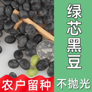 1斤 黑豆绿芯大黑豆500g苏北农家自种黑大豆乌皮青仁大粒