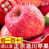 陕西洛川苹果10水果新鲜当季整箱斤红富士冰糖心脆甜