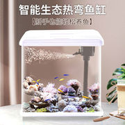 生态鱼缸小型水族箱客厅自循环家用懒人免换水创意桌面玻璃金