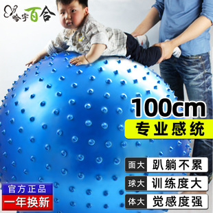 哈宇100cm防爆感统球大龙球，瑜伽球宝宝感统训练儿童触觉按摩球