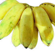 广东皇帝蕉小香蕉水果新鲜进口香焦帝皇蕉粉蕉甜糯帝王蕉