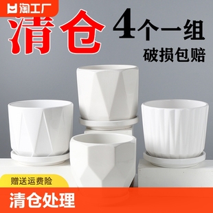 客厅简约白色花盆陶瓷家居饰品创意小摆件桌面家用绿萝工艺品装饰