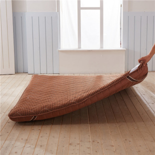 加厚10cm榻榻米海绵s床垫学生双人地铺床褥子1.5m1.8米折叠垫