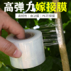 嫁接膜塑料果树嫁接膜，自粘型无需打结薄膜包装膜嫁接绑带缠绕膜