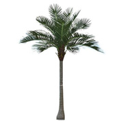 大型仿真椰子树造景室，内外椰子树大王椰，海边酒店人造大树棕榈树