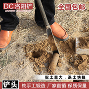 洛阳铲子头取土器挖土坑打洞打井铁铲锹考古勘探铲小电线杆工具