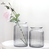 玻璃透明花瓶插绿萝水培花套装，带花创意简约现代花器插干花仿真花