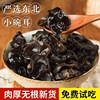东北黑木耳干货500g秋特产正宗黑龙江非野生非特级秋木耳无根优质