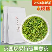 山东日照绿茶2024新茶叶(新茶叶，)特级春茶正宗板栗香礼盒装