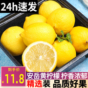 2024安岳黄柠檬(黄柠檬)大果鲜果，一二级皮薄小香水黄柠檬(黄柠檬)当季新鲜现摘水果
