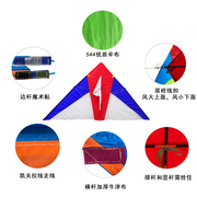 2023年王侉子潍坊风筝大型三角伞布碳杆成人微风好飞初学者