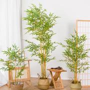 客厅绿色植物大盆栽仿生竹子装饰茶室专用新中式假竹子仿真仿真!
