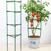 花支架西红柿番茄爬藤架花盆支架支撑架，花架葡萄黄瓜牵引爬藤架子