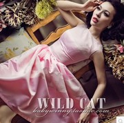 超级孤品WILDCAT优雅甜美 复古淡粉色蕾丝拼接修身蓬蓬裙