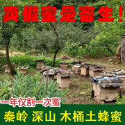 秦岭土蜂蜜深山农家自产小包装正宗土蜂蜜，野生百花蜜小罐装土蜂蜜