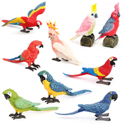 仿真动物 鸟类 金钢鹦鹉 小鸟玩具儿童认知塑料玩偶模型手办摆件