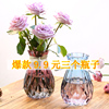欧式创意玻璃花瓶透明水培绿萝植物，玻璃花瓶家用插花客厅装饰摆件