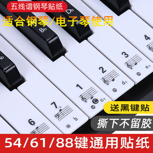 透明88键手卷电钢琴键盘贴纸，615449键电子琴，贴五线谱简谱音符贴