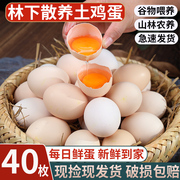 新鲜土鸡蛋农家，散养正宗草鸡蛋笨柴鸡蛋，孕妇柴鸡蛋40枚整箱禽蛋