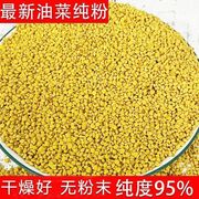 2023食用青海油菜花粉中蜂专用养蜂喂蜂蜜蜂饲料纯粉纯天然蜂粮