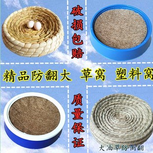 鸽子窝孵蛋专用防翻草窝鸽巢窝信鸽用品塑料巢盆棕布垫元宝窝鸡窝