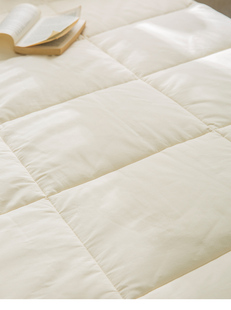 a类全棉棉花床褥单人双人床垫，薄折叠保护垫防滑薄床褥1.2米1.5
