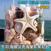 超级大海螺壳天然真贝壳摆件，儿童玩具礼物，海星珊瑚鱼缸水族装饰