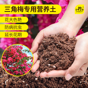 史丹利三角梅开花专用土养花家用植物土壤种花专用花土营养土蓬松