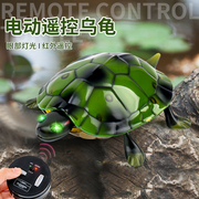 仿真遥控乌龟儿童海龟玩具模型整人智能遥控动物玩具男孩新奇趣味