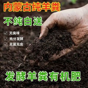 内蒙古发酵纯羊粪生物肥，100斤农家有机复合肥，干羊粪羊屎盆栽通用