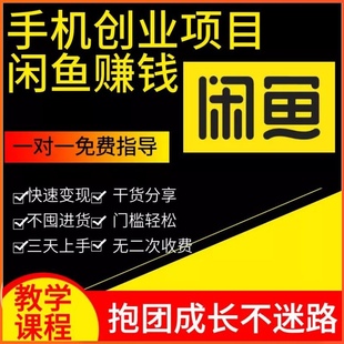 闲鱼运营课程一对一指导闲咸鱼手机创业副业赚钱小项目教程