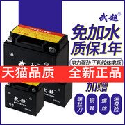 摩托车电瓶12V9a蓄电池干电池125助力踏板弯梁车7AH5a免维护通用