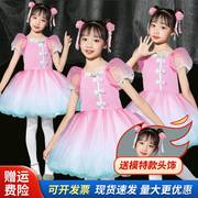 女童连衣裙演出服女孩，六一儿童节舞蹈表演服装公主蓬蓬纱裙幼儿园