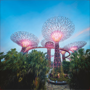 学生旅行计划新加坡自由行 香港往返 大湾区航空