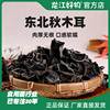 黑龙江省尚志森龙秋木耳无根小碗，耳东北特产干货，250g袋装地理标志