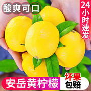 正宗四川安岳黄柠檬(黄柠檬)新鲜水果柠香浓郁皮薄当季香水甜青柠檬10