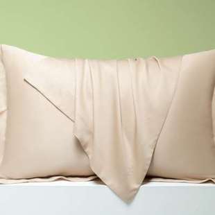 纯色60支兰精天丝丝，滑凉感长方形枕套，一对儿童单个48cmx74cm枕巾