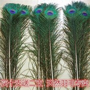 家居饰品摆件孔雀羽毛纯天然真孔雀毛花瓶装饰品孔雀翎尾婚庆羽毛