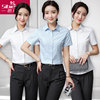 2023夏季韩版通勤工作棉质短袖女装高端职业女裤套装上班正装