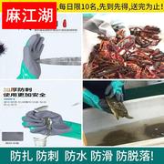 加长加厚劳保耐磨工作水产，橡胶塑胶手套防水刺，割抓螃蟹小龙虾杀鱼