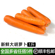 新鲜大胡萝卜500g 时令蔬菜红萝卜生吃甜脆炒菜配料食材